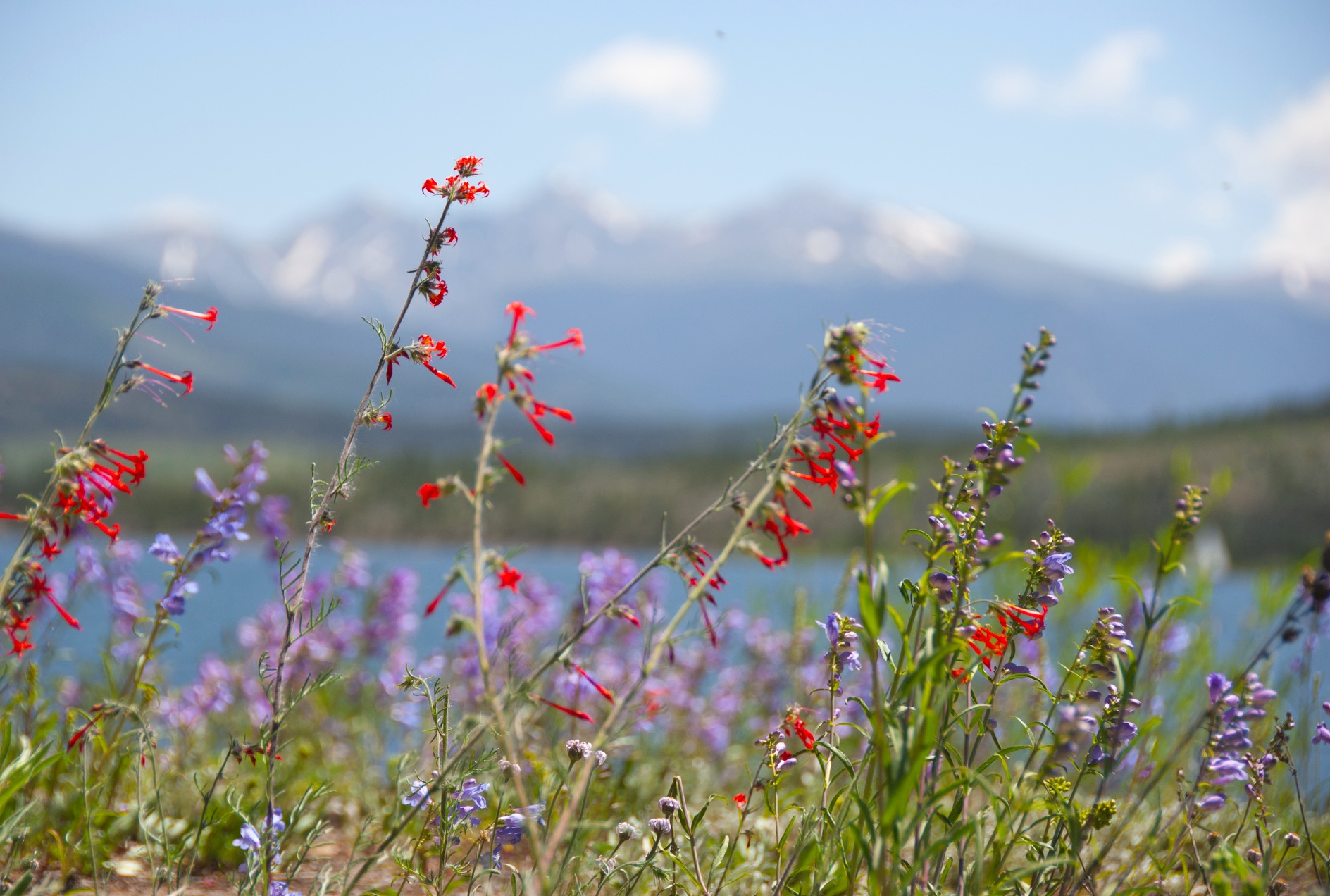 shutterstock_202397689